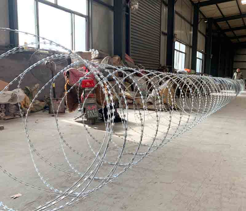 Concertina Wire